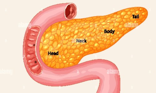 乳腺癌术后转移症状及表现-乳腺癌术后转移症状网 - 为你提供乳腺癌术后转移症状是什么、乳腺癌术后转移症状是什么
